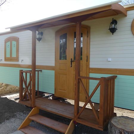 Chez Sophie Et Gilles Bed & Breakfast Monistrol-sur-Loire Exterior foto