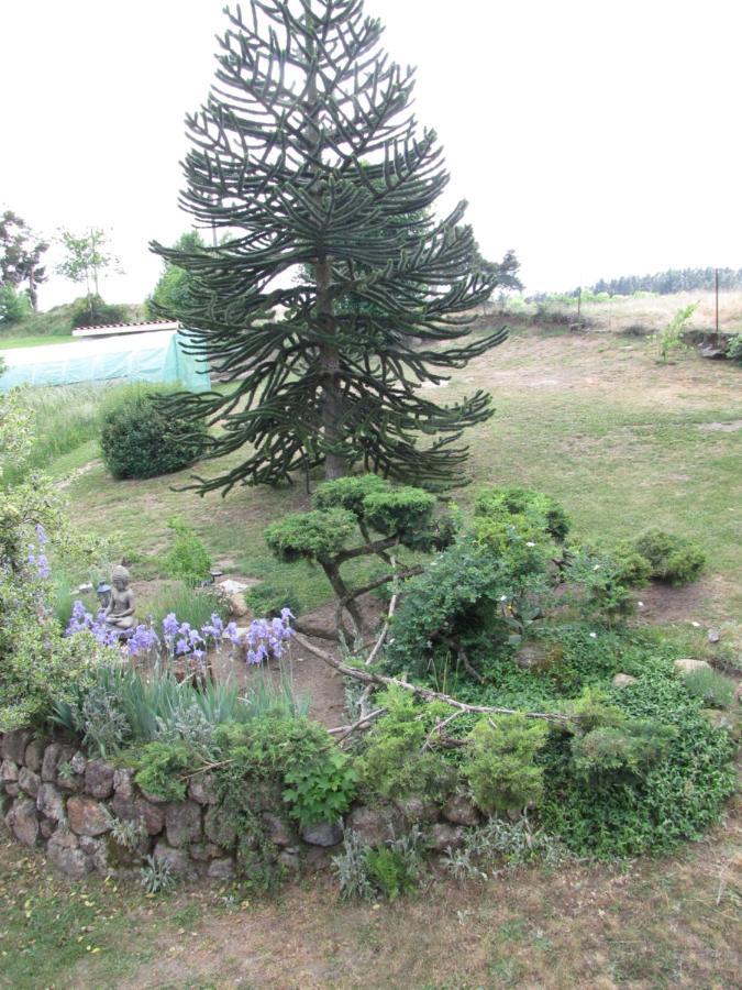 Chez Sophie Et Gilles Bed & Breakfast Monistrol-sur-Loire Exterior foto